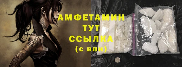 соль ск Богородицк