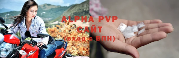 ПСИЛОЦИБИНОВЫЕ ГРИБЫ Богданович