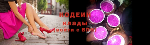 ПСИЛОЦИБИНОВЫЕ ГРИБЫ Богданович