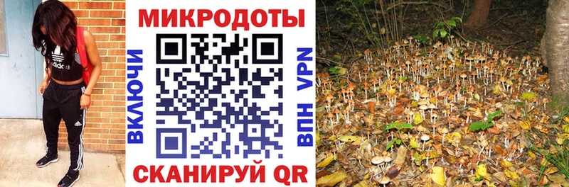 Галлюциногенные грибы Psilocybe  что такое наркотик  Дивногорск 